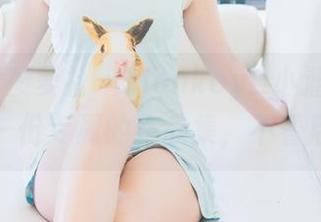 BoLoli菠萝社 – Monkey_小潘鼠的套装：一份专属的作品集，不看后悔！